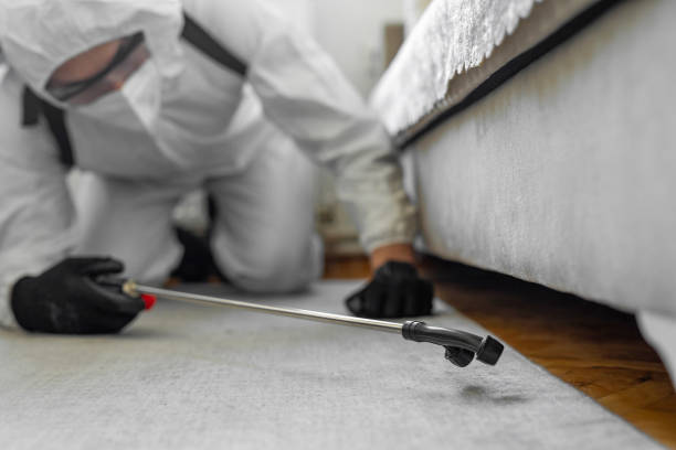 Professional Bed Bug Control technician working in Pine Bluff, AR