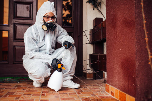 Reliable Bed Bug Control contractor in Pine Bluff, AR by Nex Pest Control